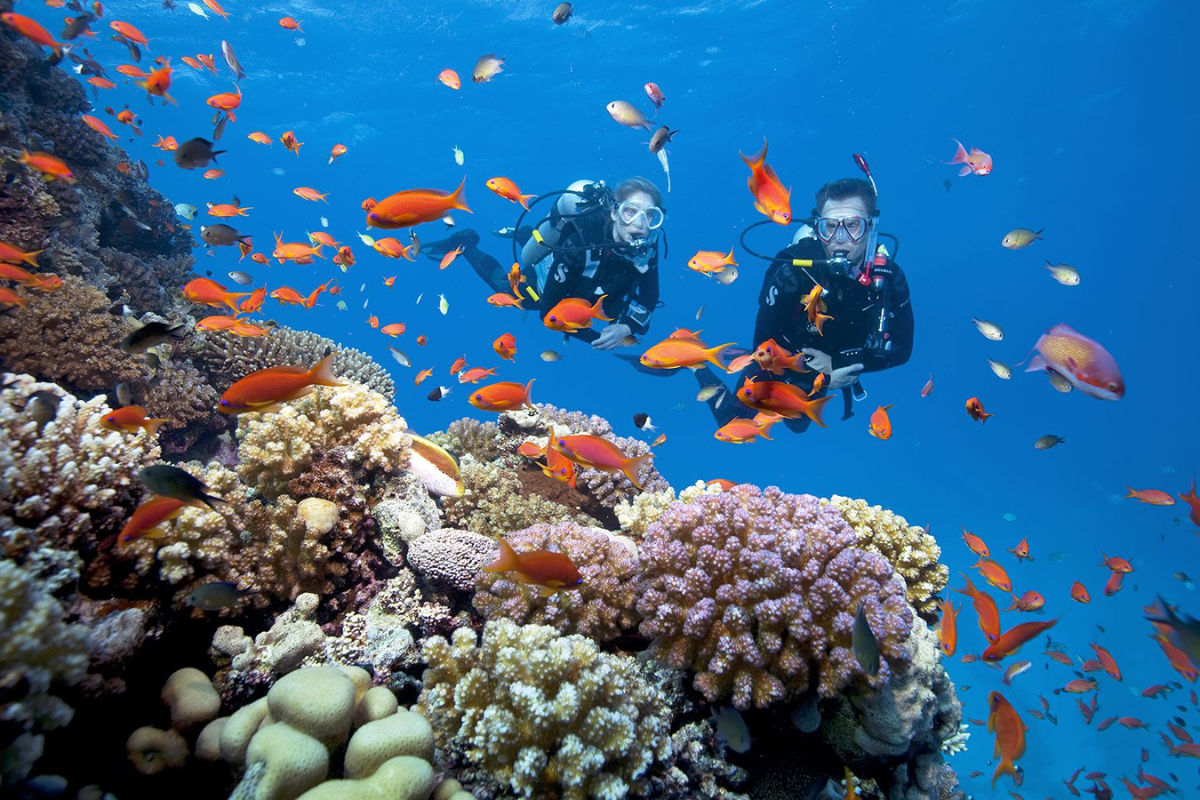 Scuba diving in Phu Quoc